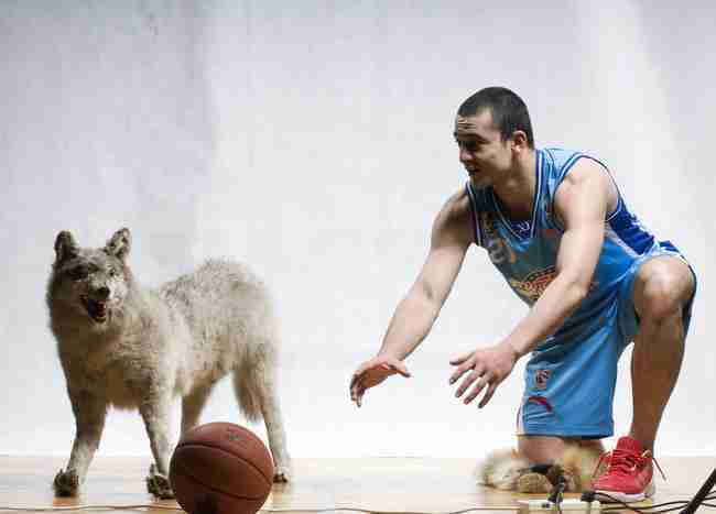 新疆广汇队新赛季官方写真照，众球员与虎狼共舞显霸气